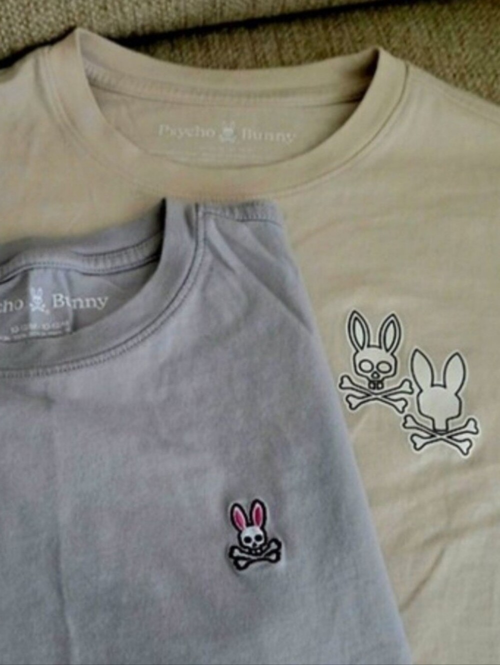 2 Psycho Bunny Logo Boys Tee Pair in Light Gray and Cream